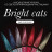 NAIL REPUBLIC   #683 Bright Cats   10мл   Гель-лак кошачий глаз светоотражающий