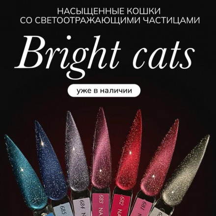 NAIL REPUBLIC   #685 Bright Cats   10мл   Гель-лак кошачий глаз светоотражающий