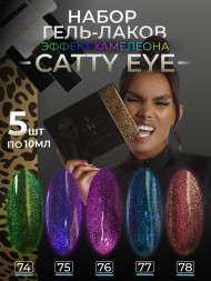 ALTA NIVELO   НАБОР   #074-078 CATTY EYE   5*10мл   Гель-лаки кошачий глаз   [27]
